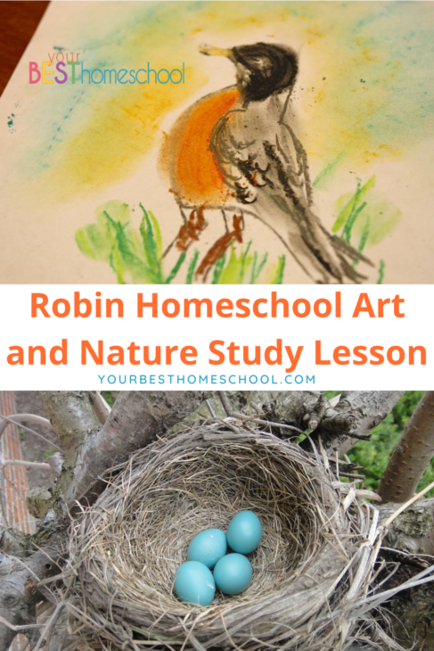 This robin homeschool art and nature study is perfect for the whole family to gather around the table and enjoy together!