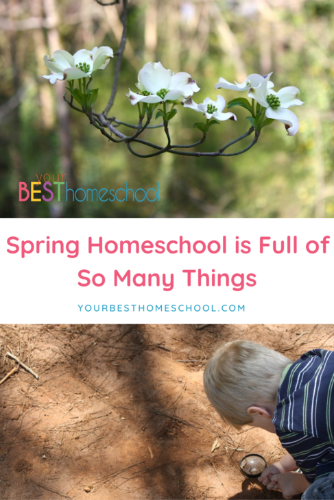 Spring homeschool is full of so many delights, especially nature study! It is a perfect time of year to notice beauty and to switch things up.