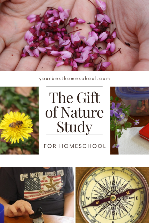 The gift of nature study in your homeschool. Use these simple prompts to notice the joys He gives us right in our own backyard.