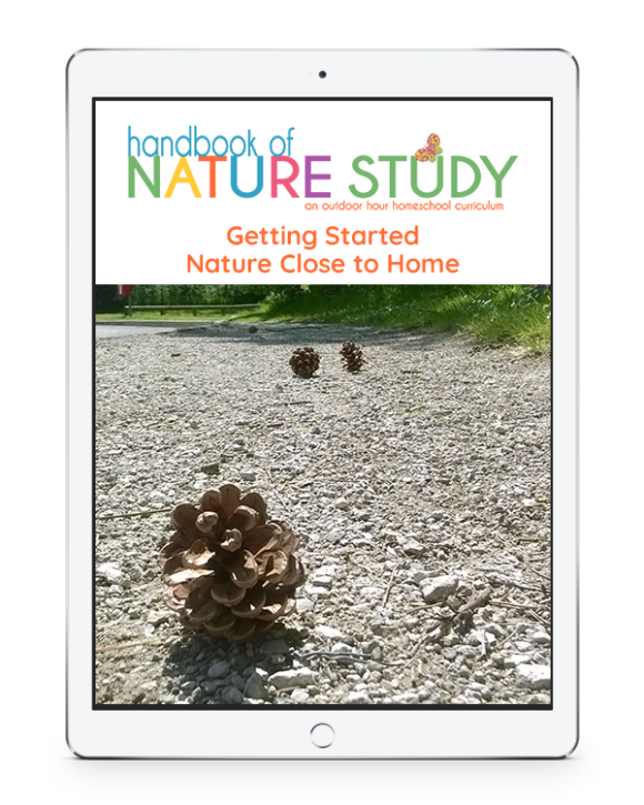 FREE Getting Started in Nature Close to Home and sample Outdoor Hour Challenges at naturestudyhomeschool.com