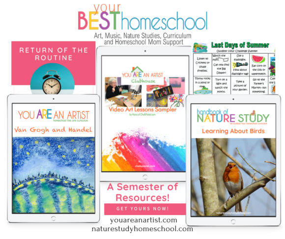 your best homeschool bundle