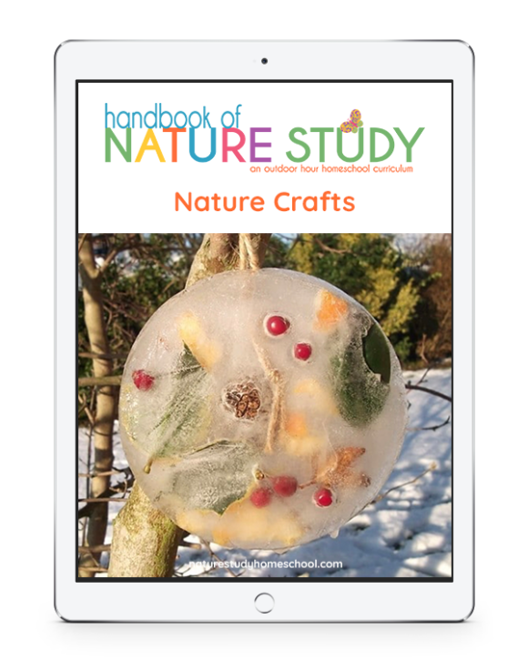 Handbook of Nature Study Nature Crafts at homeschoolnaturestudy.com