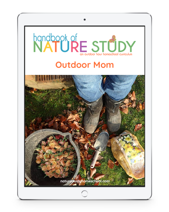 The Outdoor Mom series by Shirley Vels at Homeschool Nature Study