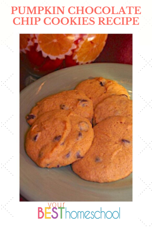 This pumpkin chocolate chip cookies recipe makes a double batch. The cookies freeze well, so I like to make enough to last a few weeks. If you want to half it, you can use a regular can of pumpkin instead of a large one.