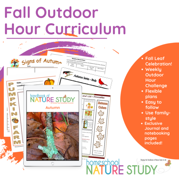 Guide to Fall Homeschool Nature Study in Your Own Backyard