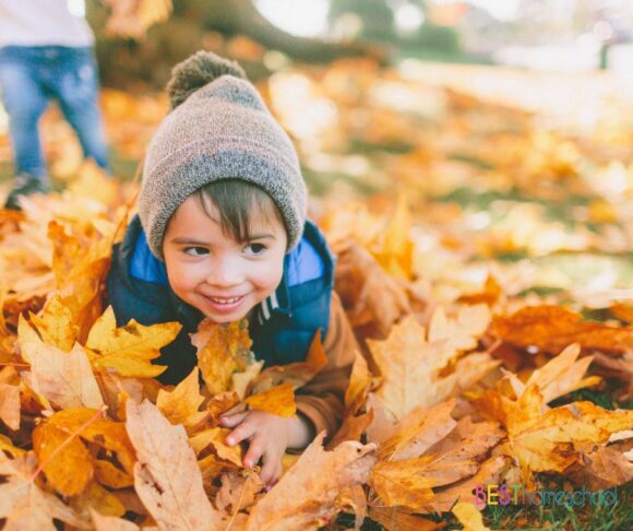 Fall is the perfect time to take advantage of seasonal learning! Enjoy this ultimate guide to fall leaf activities in your homeschool and make memories together! 