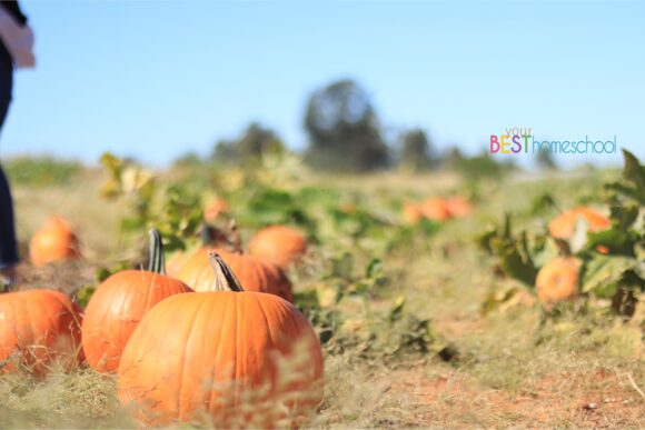 Whether you are wanting to do 'pumpkin homeschool' or simply enjoy a fun pumpkin art lesson, these are entertaining pumpkin activities your child will love!