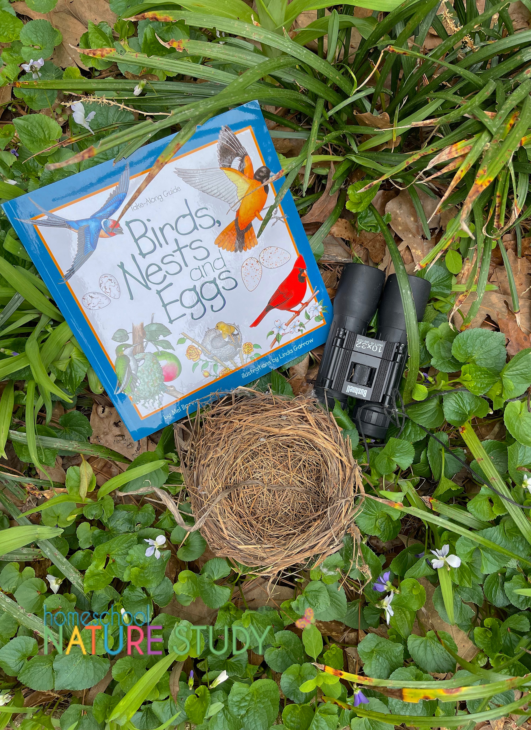 There are so many wonderful homeschool resources for birds nests in your spring nature study! These are some of our favorites.