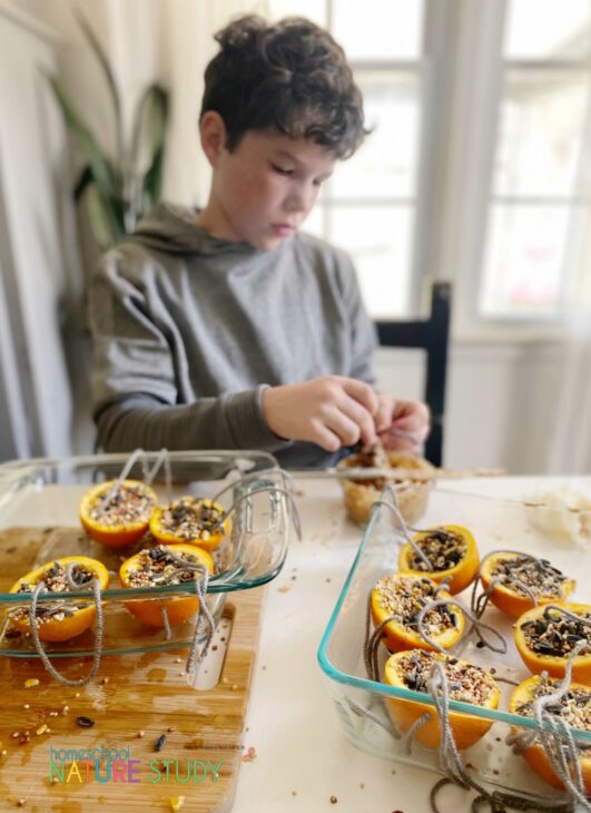 Making homemade bird feeders at Homeschool Nature Study