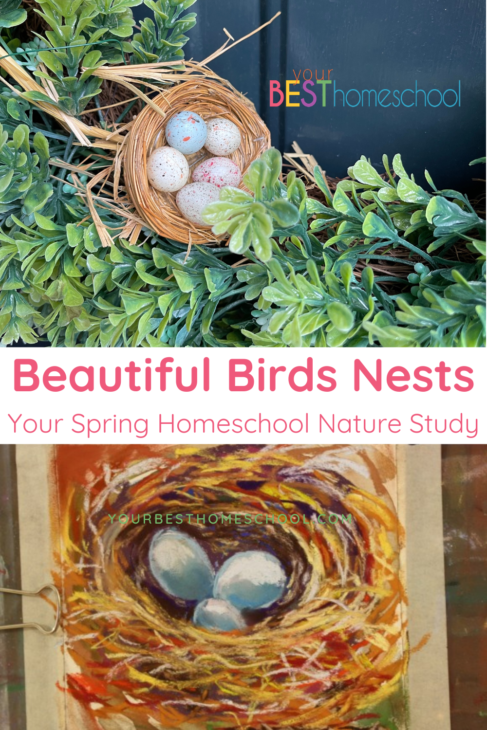 There are so many wonderful homeschool resources for birds nests in your spring nature study! These are some of our favorites.