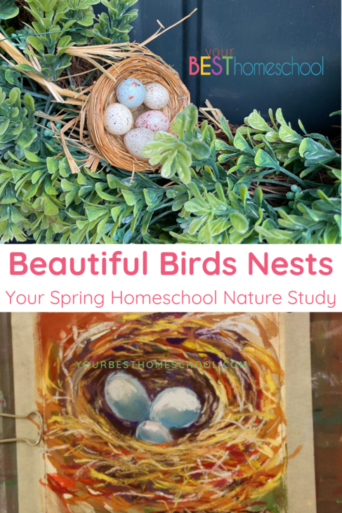 Bird's Nest: A Pastels Tutorial - Your BEST Homeschool