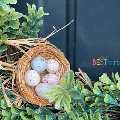 Your Spring Homeschool Nature Study: Beautiful Birds Nests