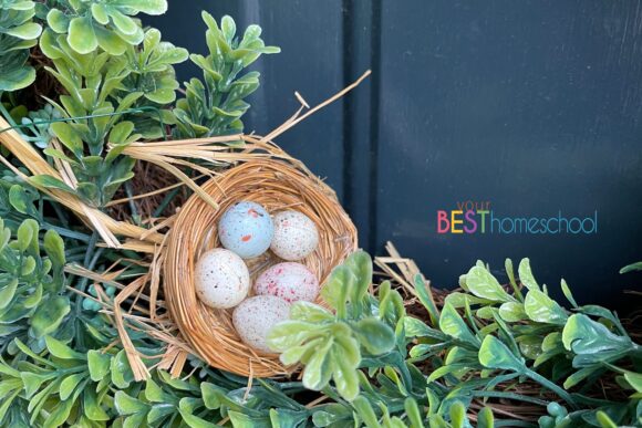 There are so many wonderful homeschool resources for birds nests in your spring nature study! These are some of our favorites.