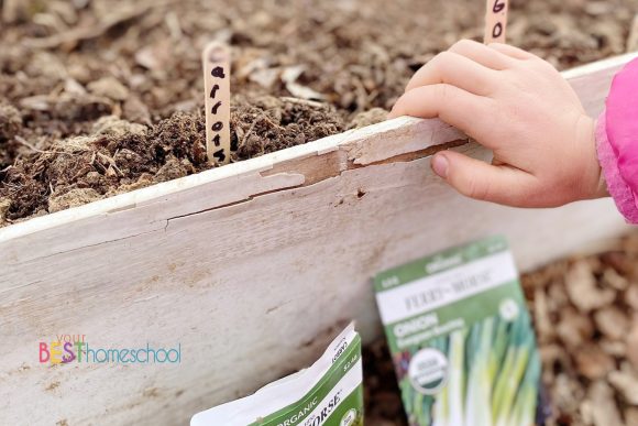 Lean into making memories with your children with a homeschool mom's spring guide to awesome April activities. Plant seeds, play outside, be creative – all while learning!
