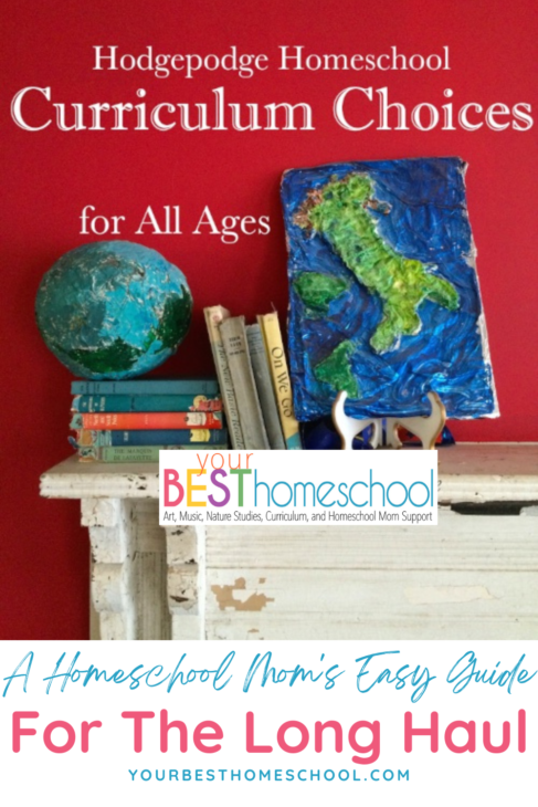 These are the long haul homeschool curriculum choices. The homeschool resources we've used most every year for every child through five children.