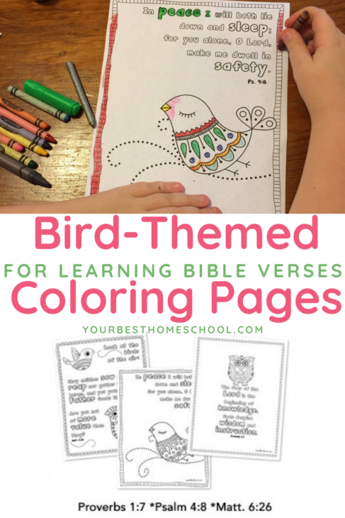 These scripture coloring pages are great for learning Bible verses! They are also a fun complement to your homeschool bird studies.