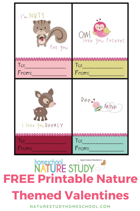 free nature themed Valentines to print and give!