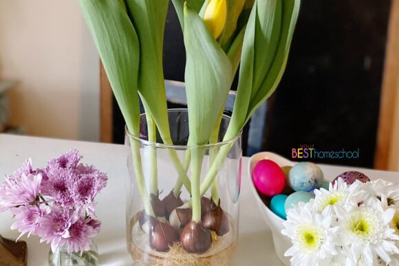 I've gathered all our favorite and most memorable Easter activities for kids. From recipes, art lessons and nature studies to crafts and a Lenten countdown, these meaningful learning opportunities are a homeschool mom's guide. 