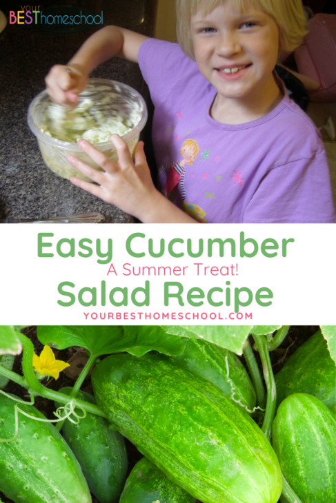 If you have many cucumbers this summer, it is time to make and enjoy this easy cucumber salad recipe. Just three ingredients!